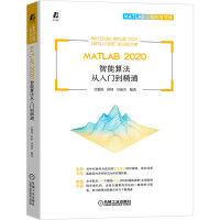 MATLAB 2020 㷨Tͨ